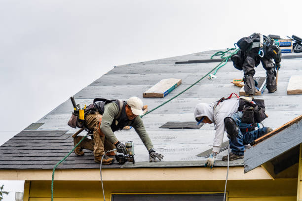 Professional Emergency Roof Repair technician working in Afton, WY